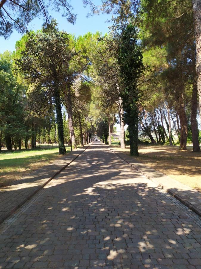 Torrenova Di Assisi Country House Экстерьер фото