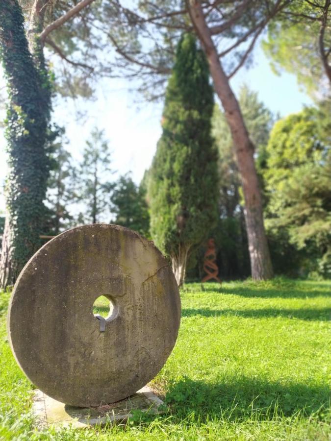 Torrenova Di Assisi Country House Экстерьер фото